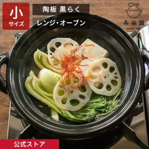 長谷園 つけもの名人 アメ 長角型 AIC-28 : サンワショッピング - 通販