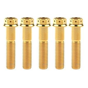 Ruifuチタン合金フランジヘッド六角穴付ボルトM10 20 25 30 35 40 45 50 55 60 65 70 75 80 85 90mm 二輪車用改造ネジ5個 (M10x4