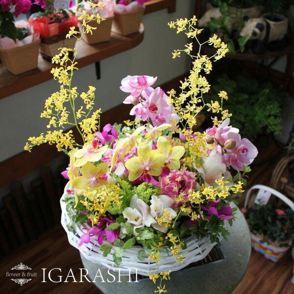 フラワーアレンジメント 花 誕生日 クリスマス プレゼント アレンジメント ギフト フラワー お祝い...