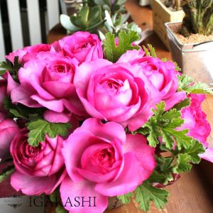ピンクバラのアレンジ 花 誕生日 母の日 プレゼント アレンジメント フラワーギフト フラワー お祝い 開店祝い 花 バラ ピンク｜igarashi