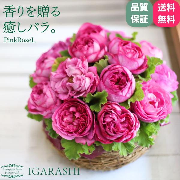 ピンクバラのアレンジ 花 誕生日 クリスマス プレゼント アレンジメント フラワーギフト フラワー ...