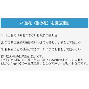 フラワーアレンジメント 花束 Rosa 花 ギ...の詳細画像2