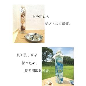 ハーバリウム ギフト 誕生日 バレンタインデー...の詳細画像3