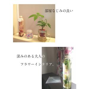 ハーバリウム ギフト 誕生日 バレンタインデー...の詳細画像4