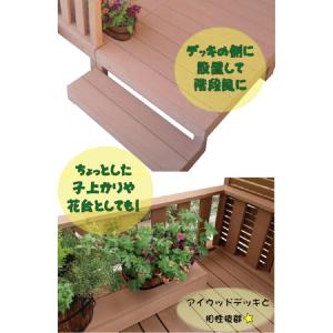 ウッドデッキ ステップ PLUS 人工木 ダー...の詳細画像3