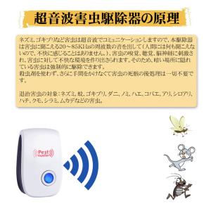 ネズミ駆除 超音波 静音 無毒無臭 超音波式 ...の詳細画像3