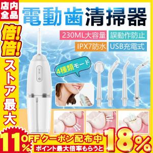 電動歯清掃器 携帯式歯清掃器 家庭用 充電Vfihcf パルス技術 歯清掃器 スマート電動インパクタ 口腔洗浄器 ポータブル式 家庭用歯の隙間口腔スケーリング