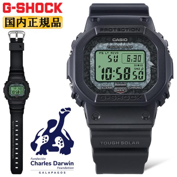 CASIO G-SHOCK ORIGIN チャールズ・ダーウィン財団 コラボ ブラック＆グリーン G...