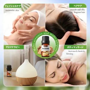 【3本セット】サンダルウッド精油、アロマ トリ...の詳細画像2