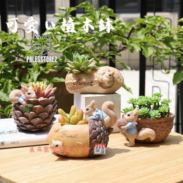 家居の飾り物 鉢 植木鉢 ポリ製 多肉植物 寄せ植え かわいい プチオアシス