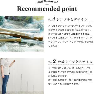 突っ張り棒 つっぱり棒 おしゃれ 伸縮棒 テン...の詳細画像1