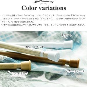 突っ張り棒 つっぱり棒 おしゃれ 伸縮棒 テン...の詳細画像2