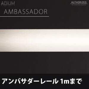アイアンカーテンレール アンバサダー レール 0.5〜1mまで ADIUM｜igogochi