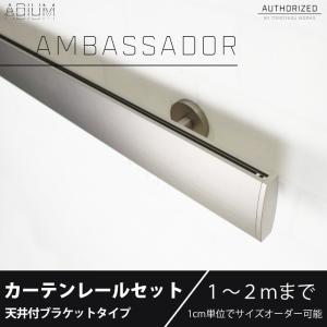 カーテンレール シングルセット アイアン ADIUMシリーズ AMBASSADOR アンバサダー 1〜2mまで｜igogochi