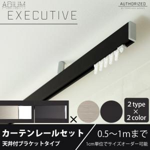 カーテンレール アイアン 天井付セット ADIUMシリーズ EXECUTIVE エグゼクティブ 0.5〜1mまで｜igogochi