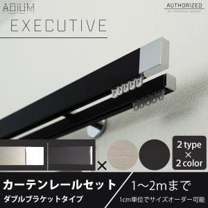 カーテンレール ダブルセット アイアン ADIUMシリーズ EXECUTIVE エグゼクティブ 1〜2mまで｜igogochi