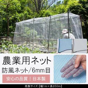 農業用 ネット 防風ネット ブルー ブラック ホワイト 黒 白 青 4mm目