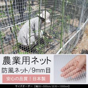 農業用 ネット 防風ネット ホワイト 白 9mm目 既製品 サイズ 幅2m×長
