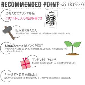 ファブリックボード アーティスト「Plune....の詳細画像5