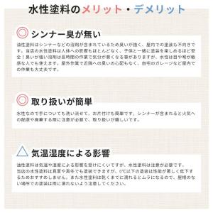 車 塗料 水性塗料 自動車塗料 全塗装 刷毛 ...の詳細画像3