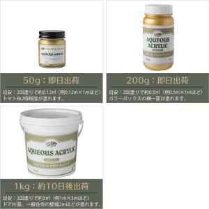 ペンキ 水性塗料 アクリル塗料 ゴールド 50...の詳細画像3