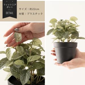 フェイクグリーン 卓上 ミニ 小型 小さい 小...の詳細画像2
