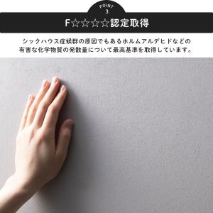 ペンキ 壁紙 DIY 壁 水性塗料 おしゃれ ...の詳細画像4