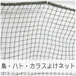 防鳥ネット ベランダ 鳥 はと 鳩 カラスよけ 25mm NET21 巾401〜500cm 丈101〜200cm JQ｜igogochi