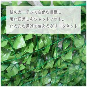 NET29 園芸  緑のカーテン　グリーン　バレーボールネット 巾401〜500cm 丈101〜200cm JQ｜igogochi