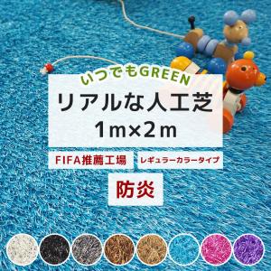 人工芝 グレー カラー DIY 庭 オフィス ベランダ 防炎 ブラウン ブラック ブルー ロール いつでもGreen レギュラータイプ 色 芝丈 30mm 1m×2m JQ 直送品 爆買