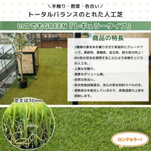人工芝 ロール DIY 庭 オフィス ベランダ...の詳細画像1
