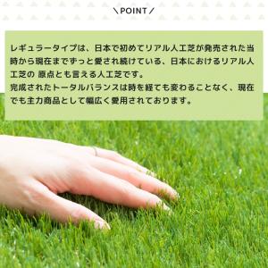 人工芝 ロール DIY 庭 オフィス ベランダ...の詳細画像2