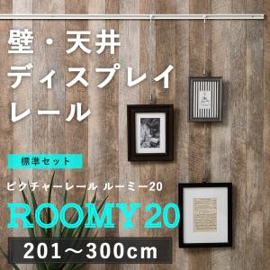 ピクチャーレール 壁 天井 展示 ディスプレイ レール アッパータイプ ルーミー20　標準セット/3mまで JQ