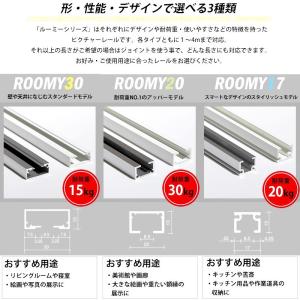 ピクチャーレール 壁 天井 展示 ディスプレイ...の詳細画像2