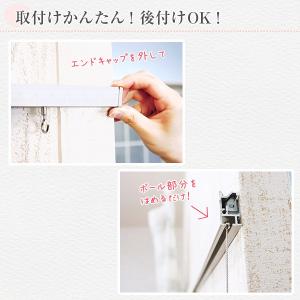 ピクチャーレール ワイヤー デコレール専用 S...の詳細画像2