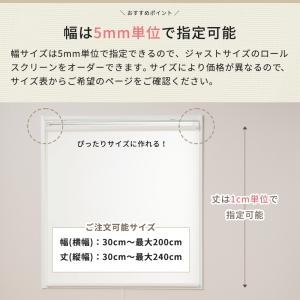 ロールスクリーン 防炎 オーダー 無地 プルコ...の詳細画像1