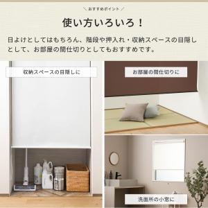 ロールスクリーン 防炎 オーダー 無地 プルコ...の詳細画像5