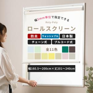 友安製作所 ロールスクリーン オーダー 洗える 無地 プレーン