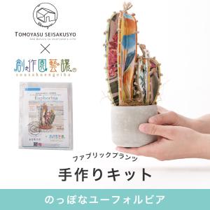 手作りキット 手芸キット 工作キット クラフト 夏休み 子供 大人 おしゃれ 創作園藝課 友安製作所 のっぽなユーフォルビア H-N-0
