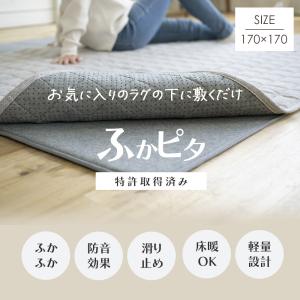 ラグ マット ホットカーペット対応 ラグ専用下敷き ふかピタ/170cm×170cm 直送品 スミノエ JQ｜igogochi