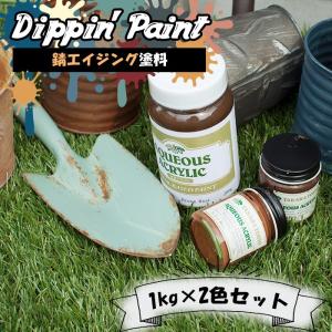 サビ 塗料 エイジング塗装 エイジング塗料 錆加工 DIY 錆エイジングペイント ペンキ 1kg×2色セット JQ