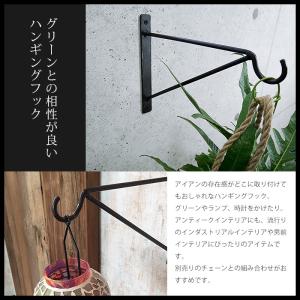アイアン ブラケット ハンギング アイアン雑貨...の詳細画像1