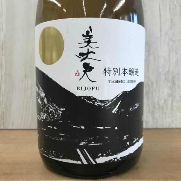 日本酒 高知 美丈夫 特別本醸造 720ml （燗酒特集）