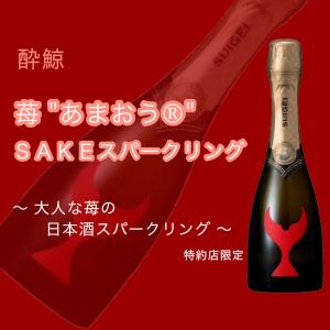 お酒 リキュール 果実系 その他の果実]マリーブリザール