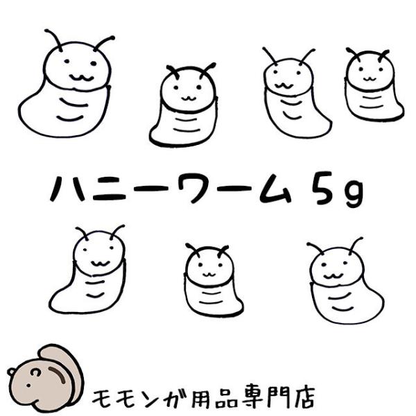 ゆうパケットOK　ドライハニーワーム　5g　お試し小分けパック　Exotic Nutrition　エ...