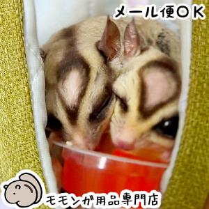 ヤワゲネズミ(プチラット)専用 プレミアムフード スタンダード