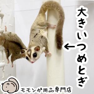 フクロモモンガの爪とぎバー ロングタイプ バット型 ももんがもんもん共和国オリジナル 爪切り補助 爪ヤスリ効果 シマリスやデグーにも使えます