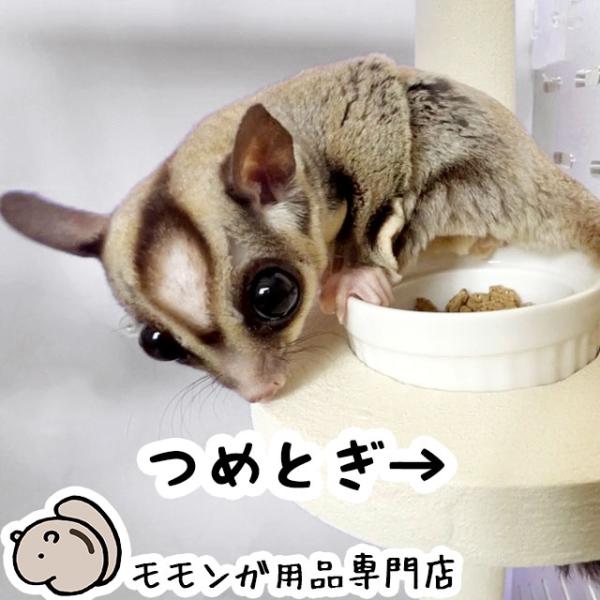 フクロモモンガの爪とぎステージ05 食器が付いたステージ 足場 ももんがもんもん共和国オリジナル 爪...