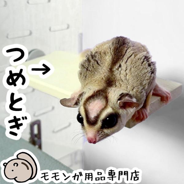 新商品！ゆうパケットOK フクロモモンガの爪とぎステージ06 ももんがもんもん共和国 爪切り補助 爪...