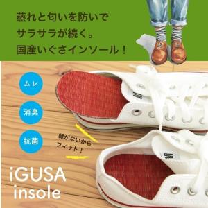 い草 インソール 畳 中敷き 国産 革靴 疲れ...の詳細画像2